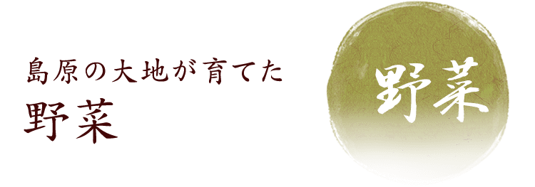 島原の大地が育てた 野菜